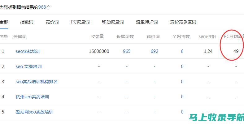 探究网站站长收入状况：如何衡量站长的收入来源与金额？